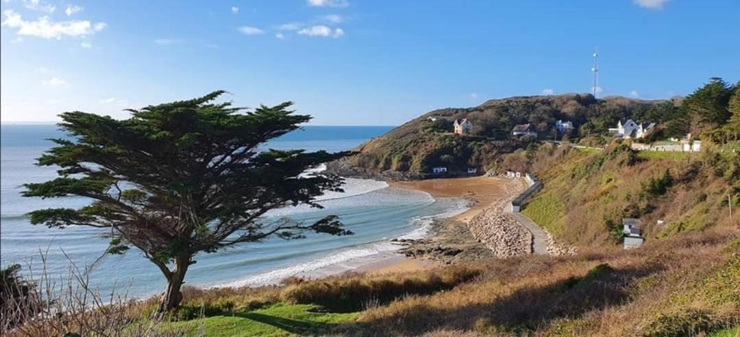 La Vallee Entre Dunes Et Mer, Un Veritable Havre De Paix Barneville-Carteret Exteriör bild